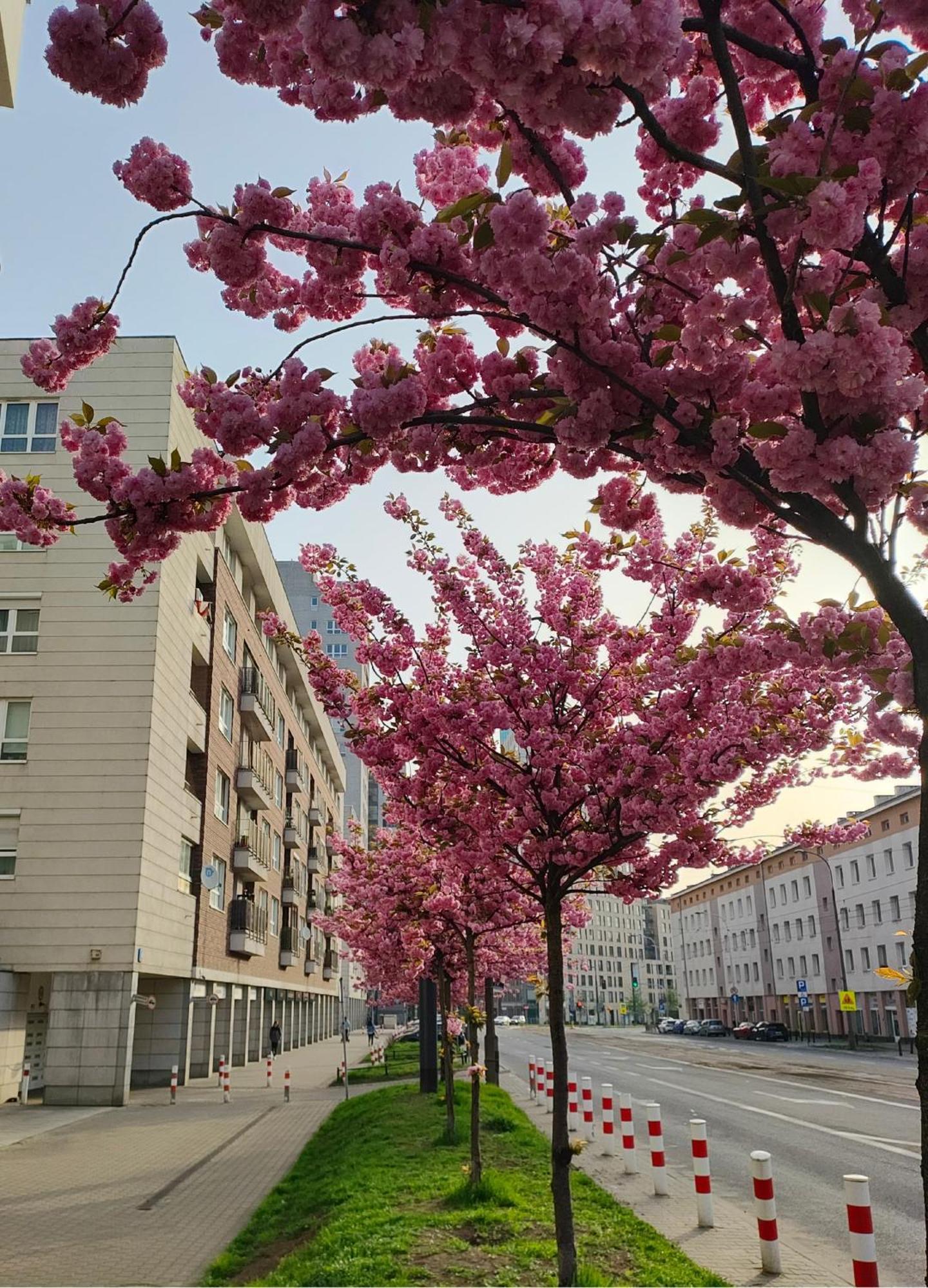 Apartament Totutotam_02 Warszawa Zewnętrze zdjęcie